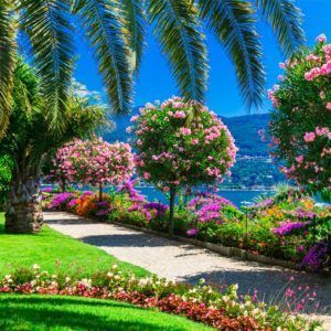 Gardens & parks