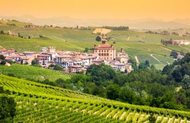 View of Barolo & the countryside of Langhe