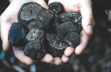 Truffles